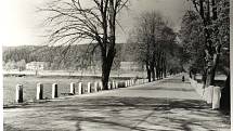 Střední rybářská škola ve Vodňanech letos slaví 100 let od svého založení, ke kterému došlo v roce 1920.