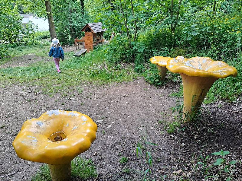 V Zátiší u Vodňan zdobí lesopark několik zajímavých stezek, zabaví malé i velké a všechno je bezplatné.