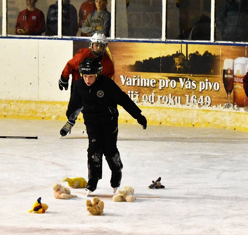 Pojď hrán hokej - náborové hokejové akce ve Strakonicích využilo plno malých hvězdiček tohoto sportu.