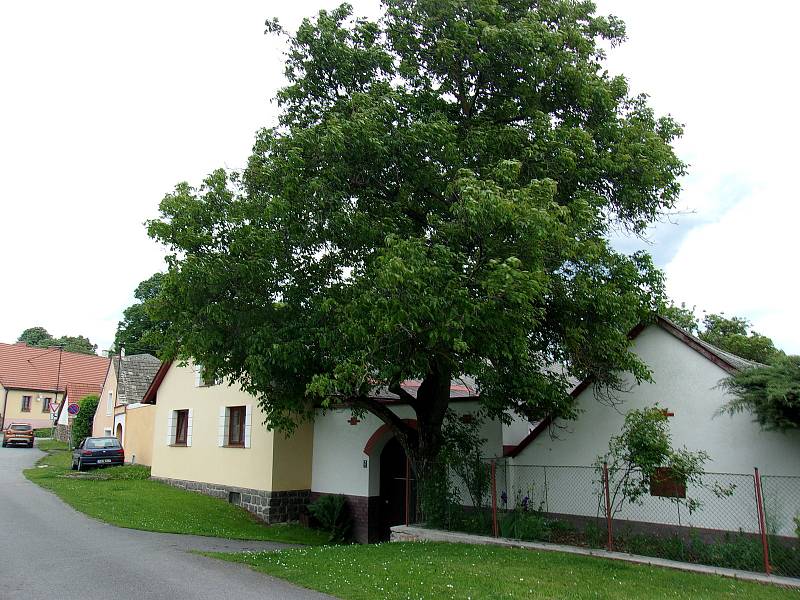 Dobrš je pokládaná za jednu z nejhezčích obcí na Strakonicku.