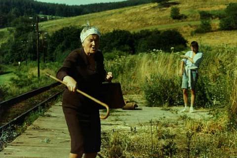 Slunce, seno, jahody se po čtyřiceti letech vrací do Hoštic.