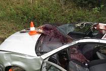 Po střetu s laní musel být řidič ošetřen. Bylo obrovské štěstí, že místo spolujezdce bylo v době nehody prázdné.
