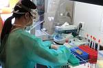 Mikrobiologické pracoviště centrálních laboratoří strakonické nemocnice zahájilo diagnostiku pacientů s koronavirovou infekcí. Foto: Roman Kačírek