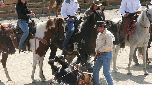 Rodeo v Malenicích nad Volyňkou.