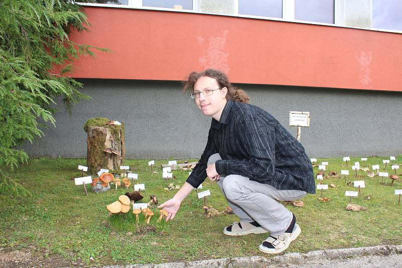 Strakonice - Zahrádka se sbírkou  hub, které  rostou v okolí vyrostla díky studentům a kantorům u vstupu do gymnázia.