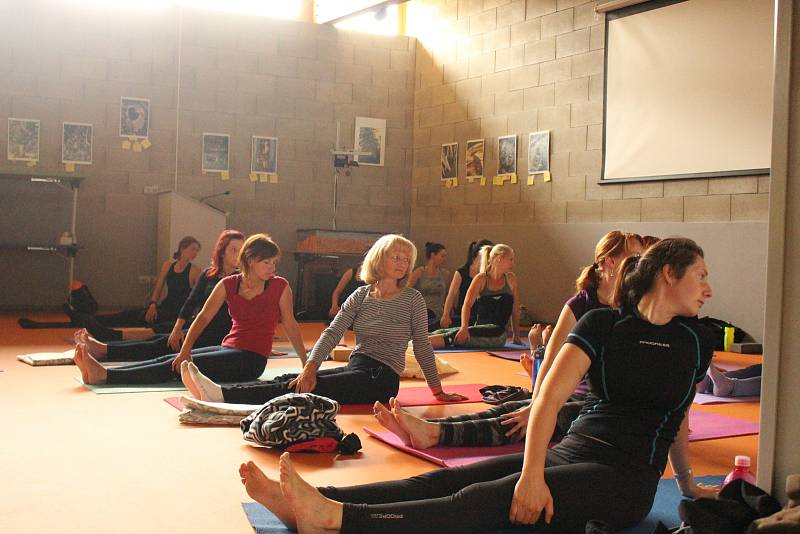 Vodňany - První Jógový den se uskutečnil v neděli 24. června ve Vodňanském Mezinárodním environmentálním, vzdělávacím a poradenském středisku u příležitosti Mezinárodního dne jógy.