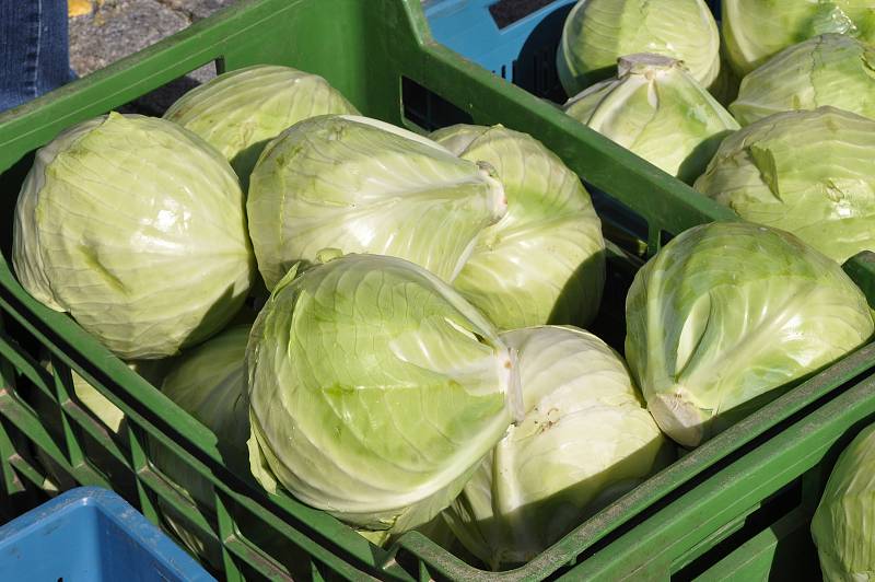 Na Velkém náměstí pod radnicí ve Strakonicích bylo možno v pátek 20. září navštívit podzimní farmářský trh, který zde funguje už devátým rokem.