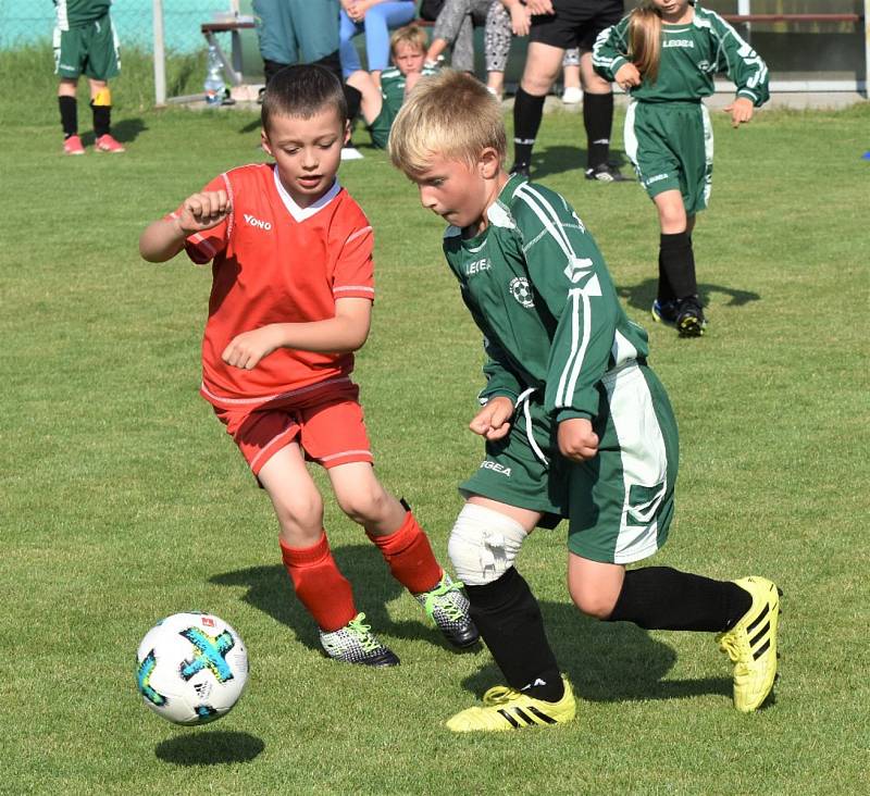 OP mladší přípravky: Dražejov - Katovice 13:3.