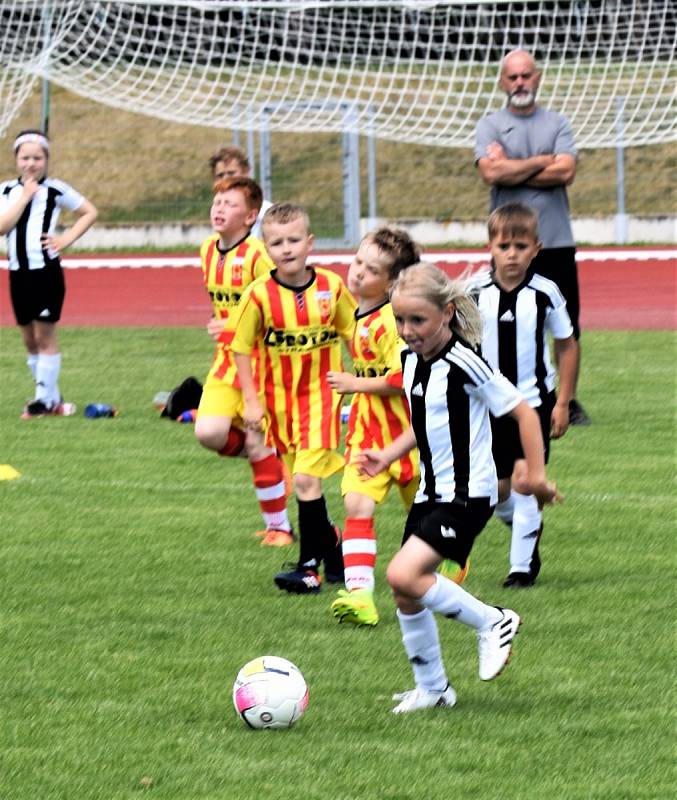 KP přípravek: Junior Strakonice - Veselí nad Lužnicí 8:24.