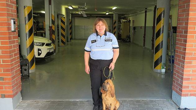 Policistka Eva Ulmová na služebně ve Volyni se svou fenkou loveckého psa bloodhound, čtyřměsíční Odettou.