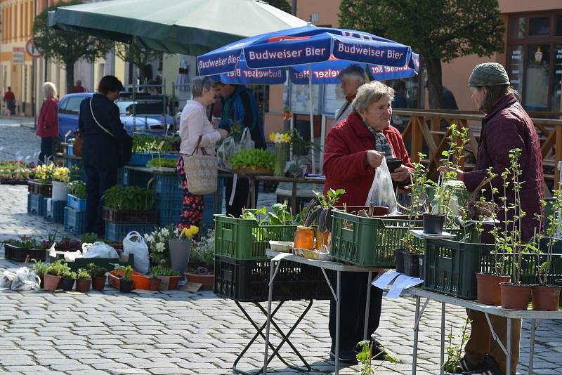 Trhy na náměstí ve Vodňanech se konají vždy v úterý a v sobotu od 6 do 12 hodin. V úterý 17. dubna si nejen zahrádkáři nakupovali hlavně první sazeničky.