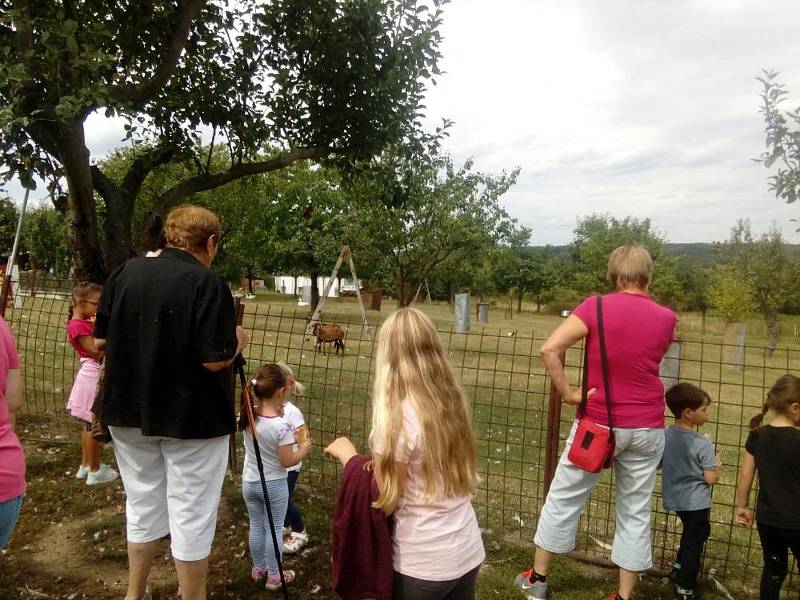 V Jemnicích žijí manželé Šindelářovi, kteří na svém pozemku mají malou zoo po jihočesku.