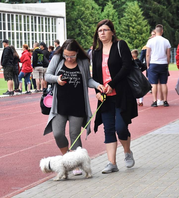 Fotbalové přípravky sehrály ve Strakonicích další skvělý turnaj.