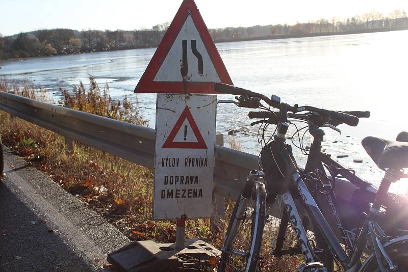 Loňská sanace rybníka Dřemliny kvůli nákaze, pomohla k letošním rekordním výnosům