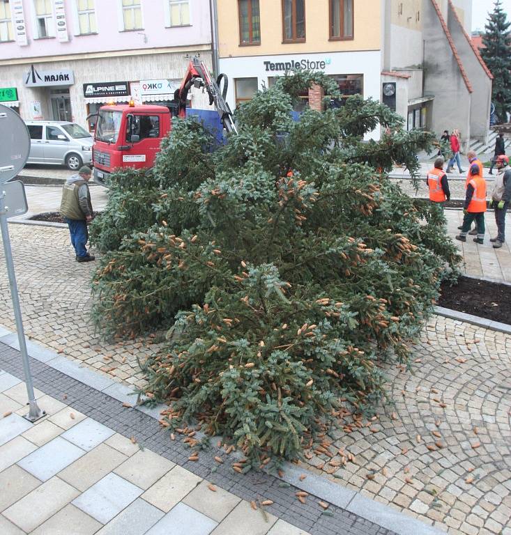 Vánoční stromy na Velkém náměstí ve Strakonicích. Jedli vystřídal smrk. Ten se při osazování zřítil k zemi - prasklo lano.