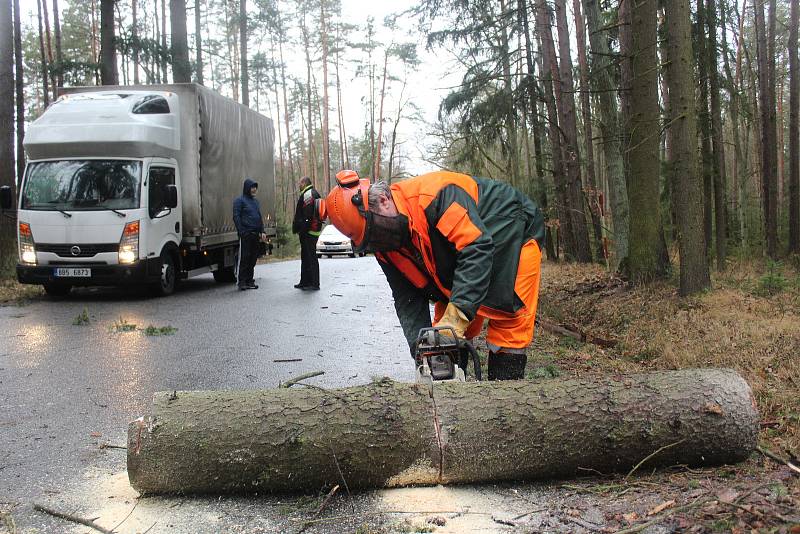 Silničáři museli rozřezat padlý smrk na silnici ze Strakonic na Drachkov.