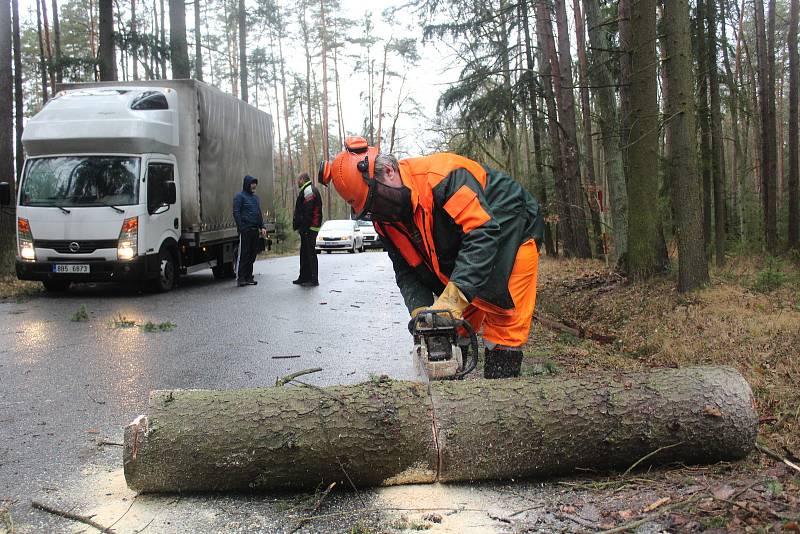 Silničáři museli rozřezat padlý smrk na silnici ze Strakonic na Drachkov.