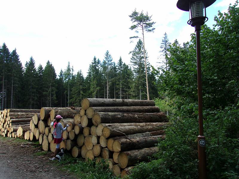 Slavnosti Šumavského Trojhradí na Kašperku.