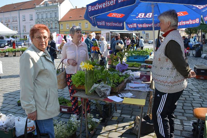 Trhy na náměstí ve Vodňanech se konají vždy v úterý a v sobotu od 6 do 12 hodin. V úterý 17. dubna si nejen zahrádkáři nakupovali hlavně první sazeničky.