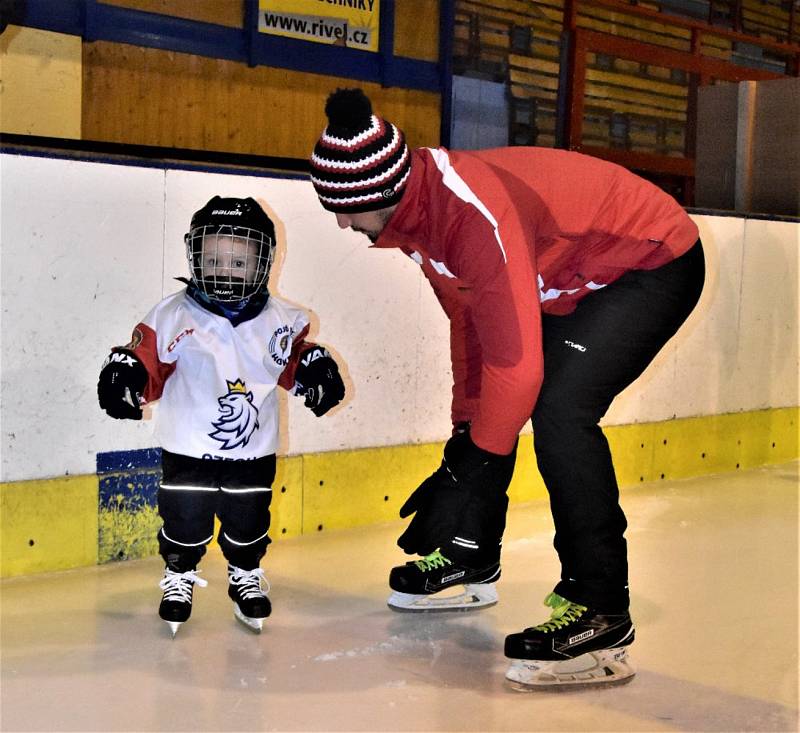 Týden hokeje Strakonice 24. ledna zaplnil Křemelku dětmi.