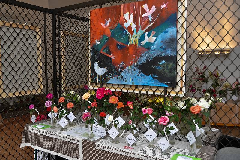 V neděli 5. srpna byla součástí tradiční pouti prodejní výstava Květy Volyně 2018 v Pošumavské tržnici a Malé galerii.