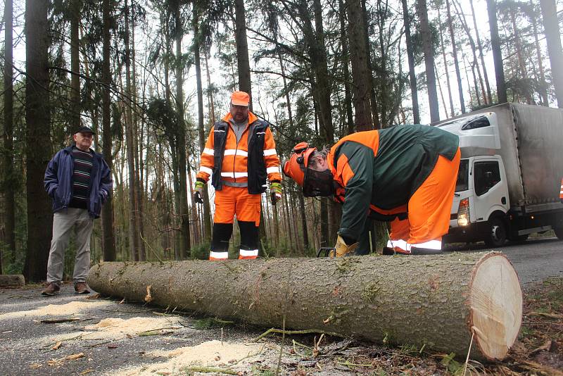 Silničáři museli rozřezat padlý smrk na silnici ze Strakonic na Drachkov.