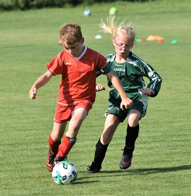 OP mladší přípravky: Dražejov - Katovice 13:3.