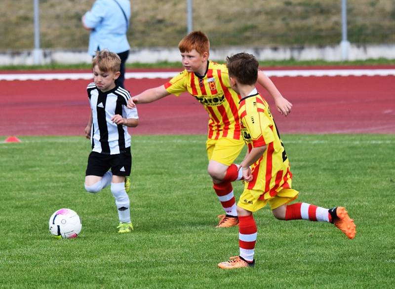 KP přípravek: Junior Strakonice - Veselí nad Lužnicí 8:24.