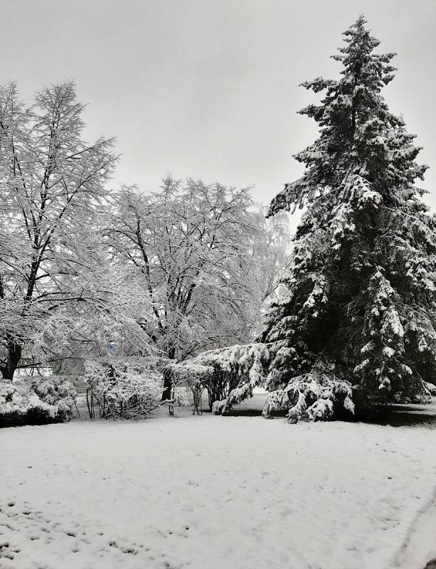 Jindřichův Hradec.