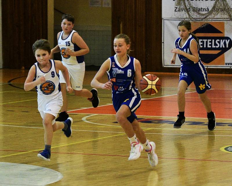 Vánoční turnaj U12: BK Strakonice - SBK Strakonice 74:12.