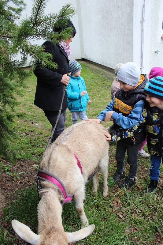 Děti v MŠ měly zvláštní návštěvu.