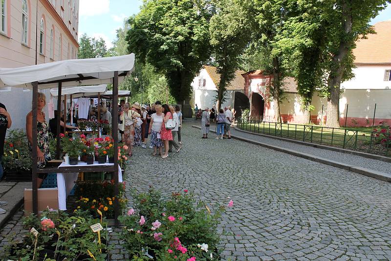 Centrum Blatné po roce opět patřilo růžím.