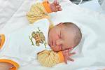 Michaela Holá z Kladrub. Michalka se narodila 7.2.2019 ve 13:03 hodin a při narození vážila 3 170 gramů. Na Michalku se doma těšil dvouletý bráška Martínek.