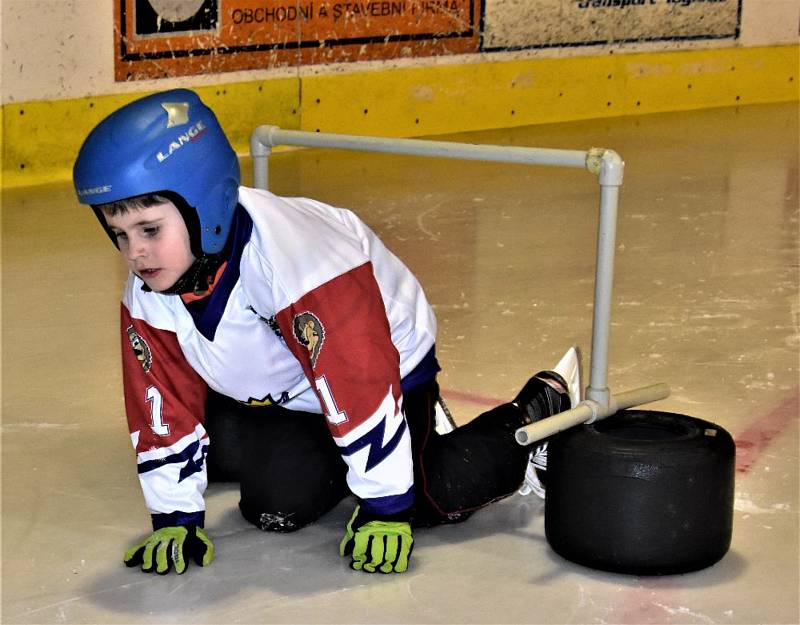 Týden hokeje Strakonice 24. ledna zaplnil Křemelku dětmi.