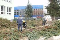 Hasiči poráželi stromy na pozemcích u školy v ulici Zvolenská.