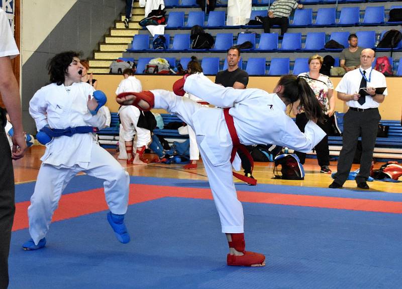 Strakoničtí pořádali druhé kolo Krajské ligy karate.