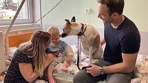 Pes Gump a jeho majitel Filip Rožek navštívili v pondělí 21. listopadu strakonickou nemocnici.