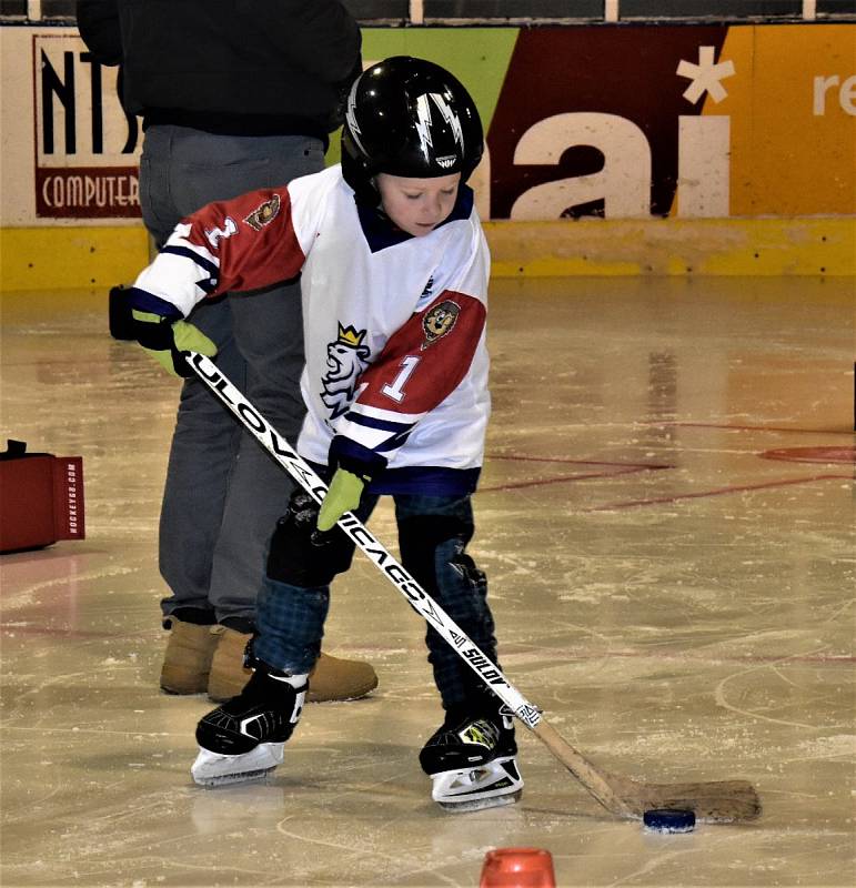 Týden hokeje Strakonice 24. ledna zaplnil Křemelku dětmi.