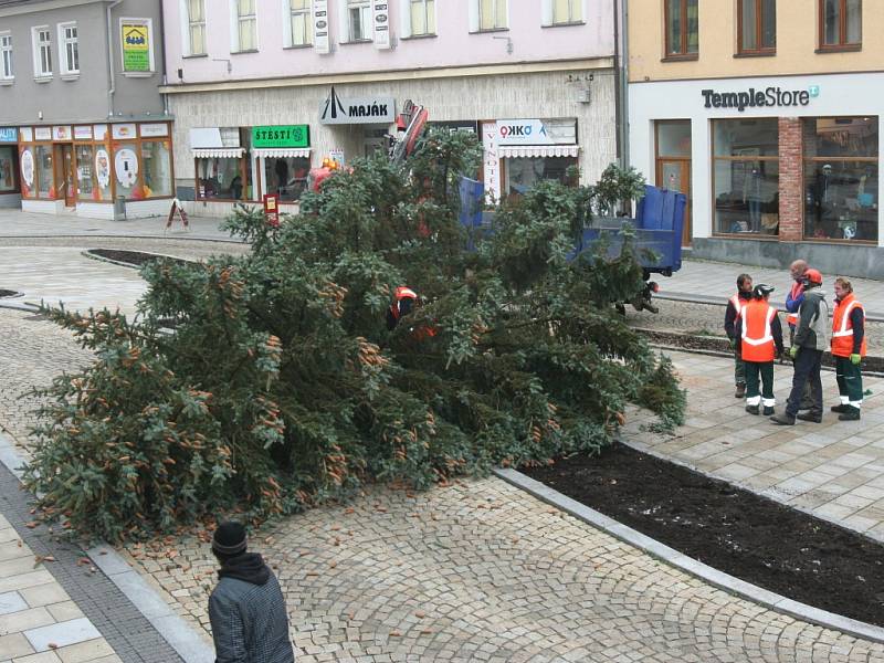 Vánoční stromy na Velkém náměstí ve Strakonicích. Jedli vystřídal smrk. Ten se při osazování zřítil k zemi - prasklo lano.