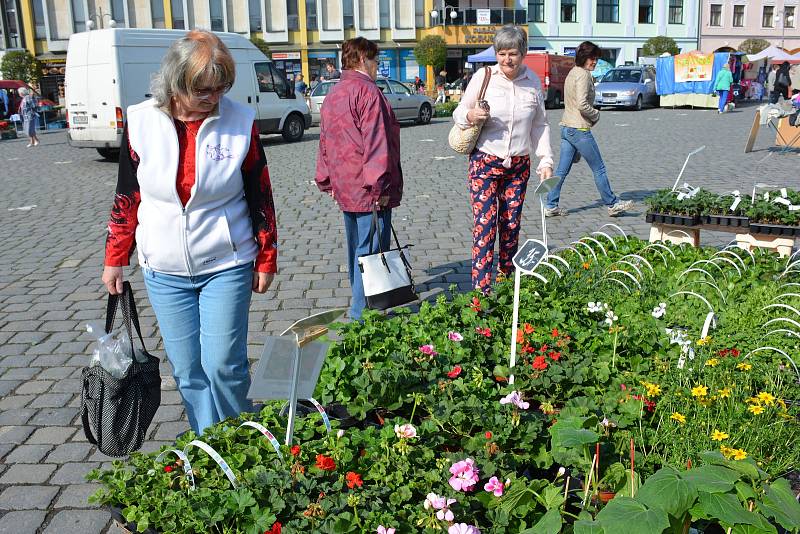 Trhy na náměstí ve Vodňanech se konají vždy v úterý a v sobotu od 6 do 12 hodin. V úterý 17. dubna si nejen zahrádkáři nakupovali hlavně první sazeničky.