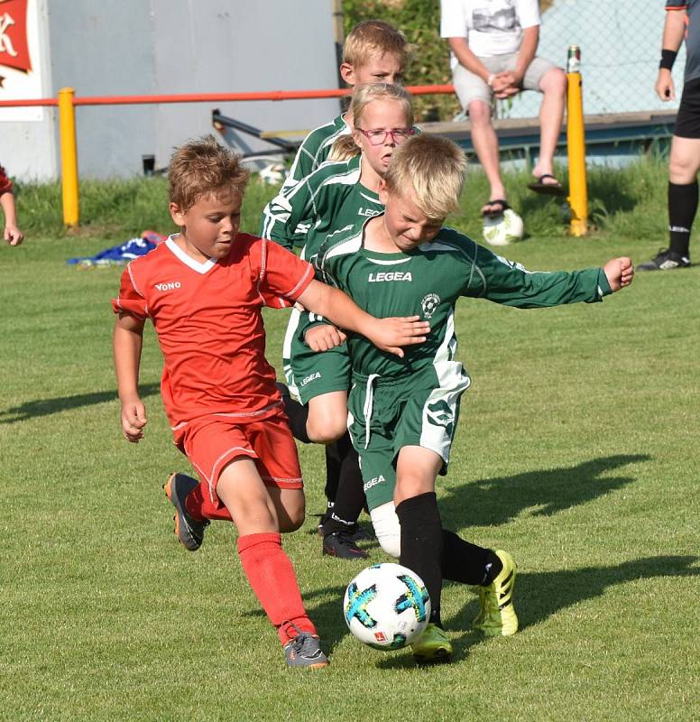 OP mladší přípravky: Dražejov - Katovice 13:3.