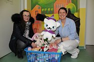 Eva Grünerová (na snímku vlevo )z Vodňan přivezla poslední den roku 2019 hračky dětem do Strakonické nemocnice a Dětskhéo centra Jihočeského kraje.