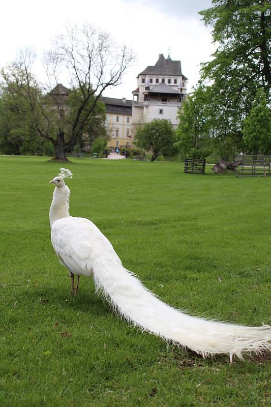 Krásy zámku i místního parku přijely do Blatné obdivovat i děti z MŠ Rosovice u Příbrami.