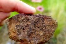 Údajný meteorit z Blatné