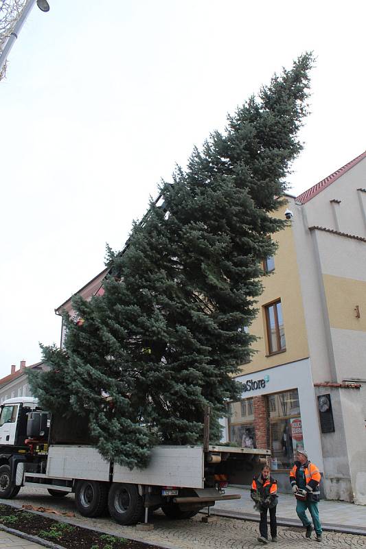 Vánoční strom Strakonice.