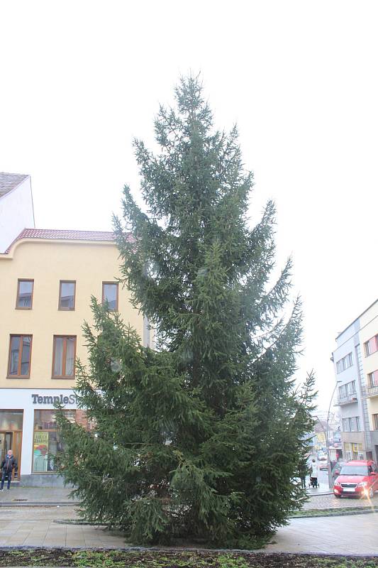Vánoční strom na Velkém náměstí ve Strakonicích.