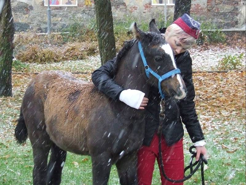 Cehnice ve znamení tradic