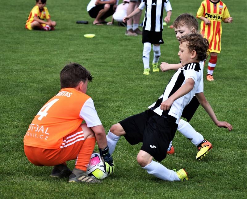 KP přípravek: Junior Strakonice - Veselí nad Lužnicí 8:24.