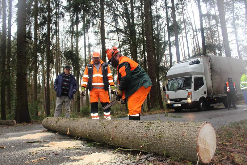 Silničáři museli rozřezat padlý smrk na silnici ze Strakonic na Drachkov.