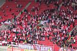 Slavie Praha je mistrem ligy. Titul si úžívají i Strakoňáci.